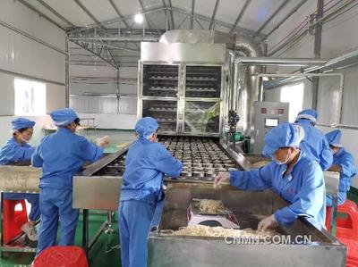 扶贫托起致富梦，砥砺“黔”行奔小康——有色金属产业助力脱贫攻坚的生动实践